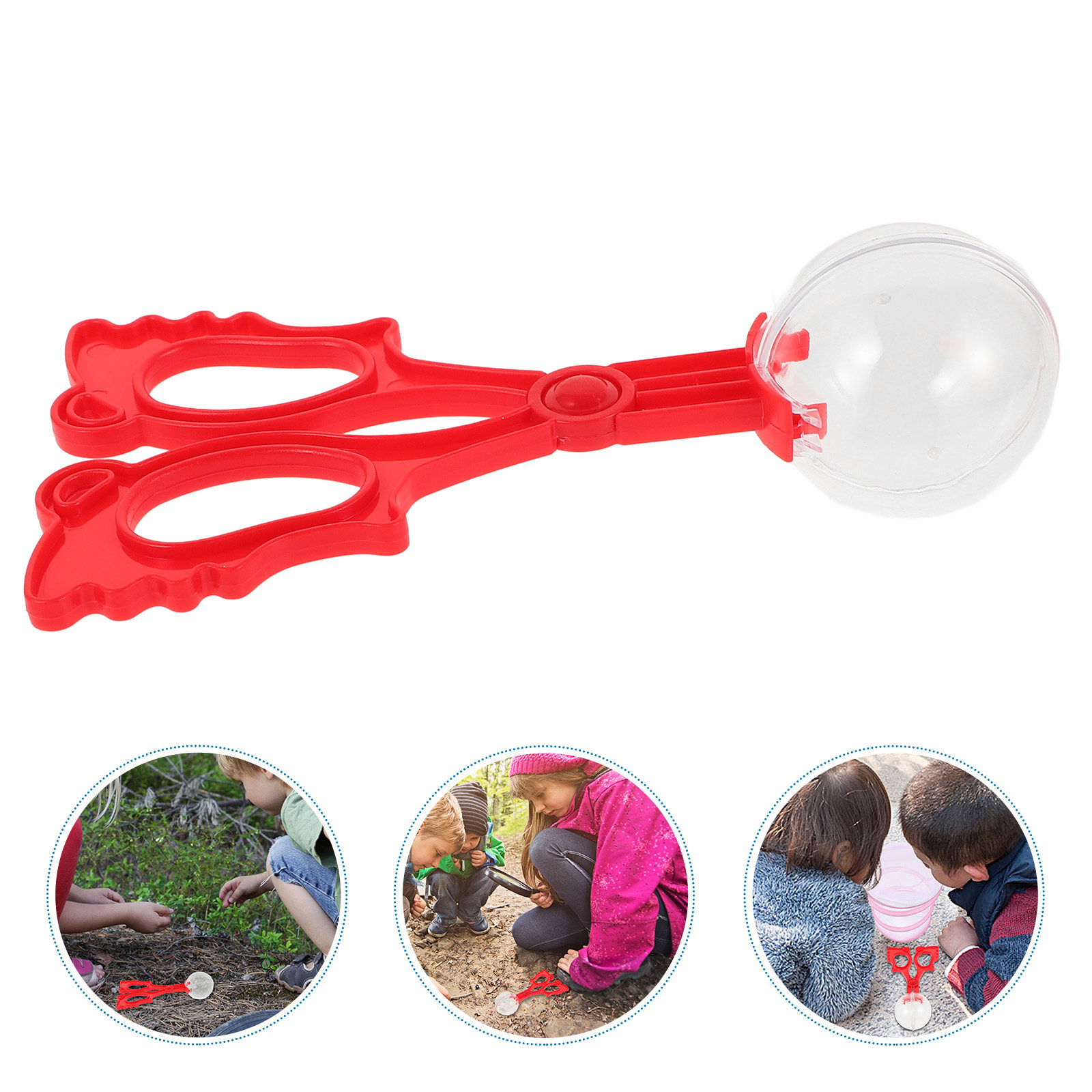 곤충 잡기용 발톱류, 파충류/나비 수집용 집게, 어린이 - Kids Outdoor Education 리뷰 및 가격