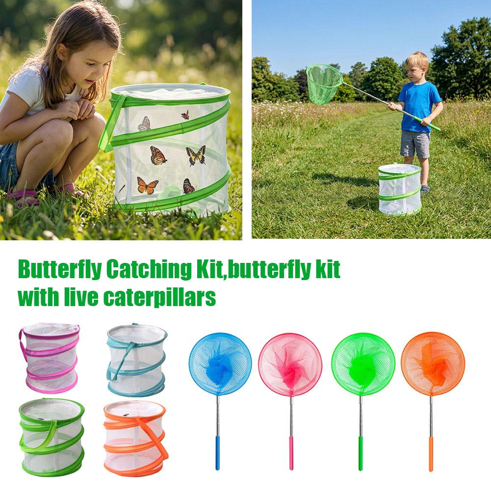 어린이 나비 잡기 키트 접이식 메쉬 곤충 서식지 케이지 - Kids Outdoor Education 리뷰 및 가격